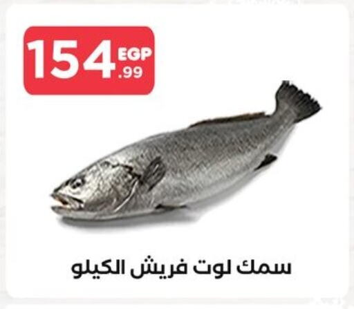 available at مارت فيل in Egypt - القاهرة