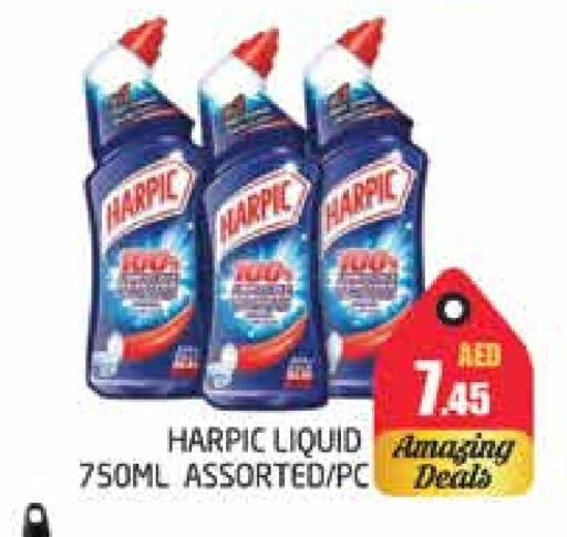 HARPIC Toilet / Drain Cleaner available at PASONS GROUP in UAE - Dubai