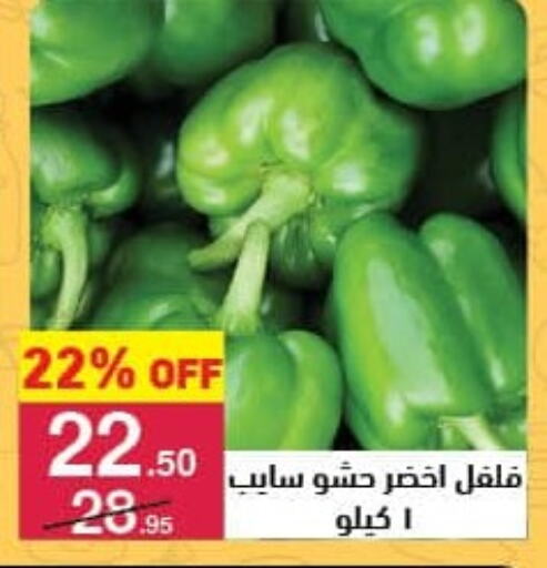 Chilli / Capsicum available at Mahmoud El Far in Egypt - Cairo