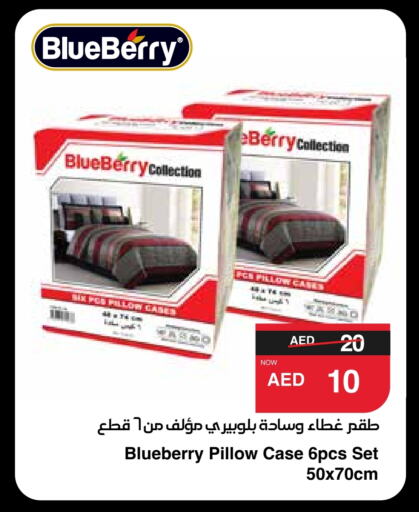 Blueberry BlueBerry available at سبار هايبرماركت in الإمارات العربية المتحدة , الامارات - أبو ظبي