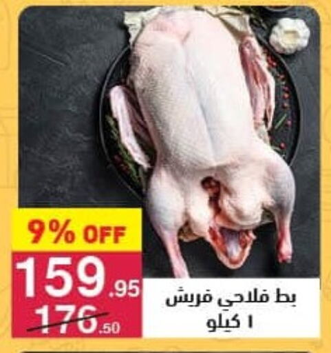 available at محمود الفار in Egypt - القاهرة