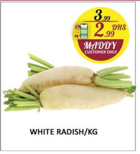 Radish available at Al Madina  in UAE - Sharjah / Ajman