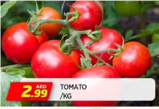 Tomato available at AL MADINA in UAE - Sharjah / Ajman