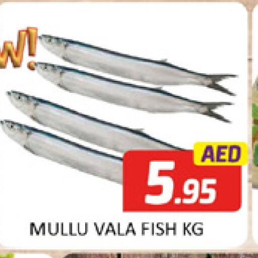 available at المدينة in الإمارات العربية المتحدة , الامارات - دبي