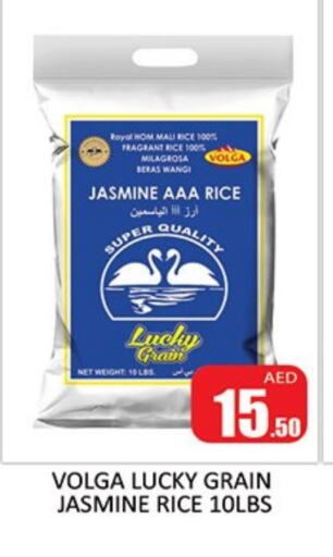 فولغا أرز ياسمين available at المدينة in الإمارات العربية المتحدة , الامارات - الشارقة / عجمان