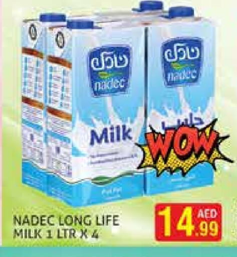 NADEC Long Life / UHT Milk available at Palm Hypermarket Muhaisina LLC in UAE - Dubai