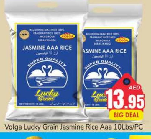 VOLGA Jasmine Rice available at PASONS GROUP in UAE - Dubai