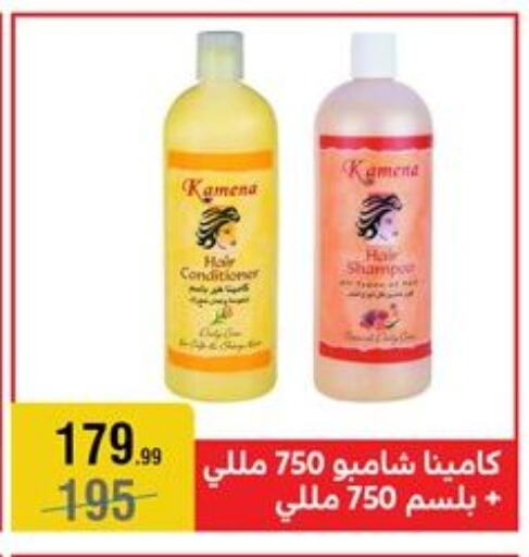 شامبو / بلسم available at المرشدي in Egypt - القاهرة