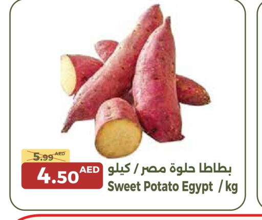 بطاطا حلوة from Egypt available at جمعية الامارات التعاونية in الإمارات العربية المتحدة , الامارات - دبي