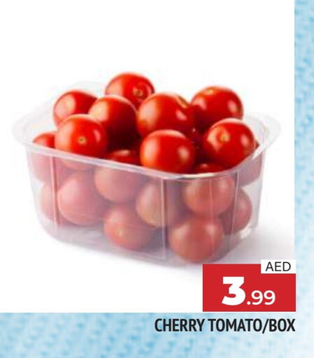 Tomato available at AL MADINA in UAE - Sharjah / Ajman