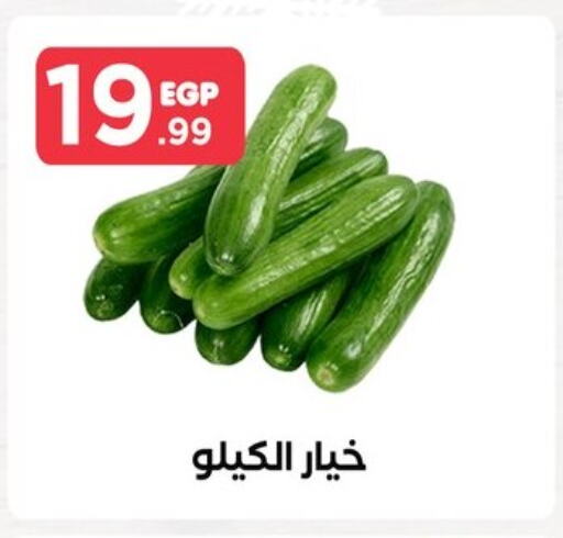 Cucumber available at MartVille in Egypt - Cairo