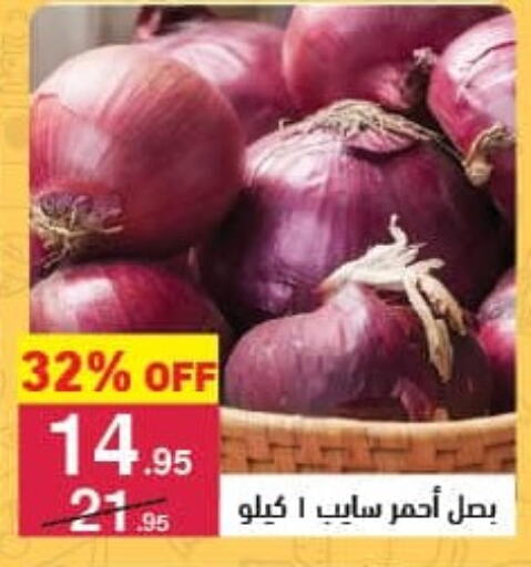 Onion available at Mahmoud El Far in Egypt - Cairo