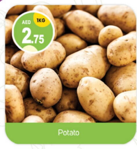 Potato available at TALAL MARKET in UAE - Sharjah / Ajman