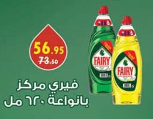 FAIRY available at Mahmoud El Far in Egypt - Cairo