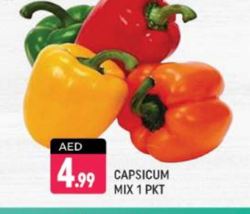 Chilli / Capsicum available at Shaklan  in UAE - Dubai