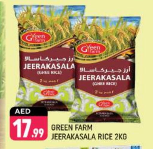 Jeerakasala Rice available at Shaklan  in UAE - Dubai