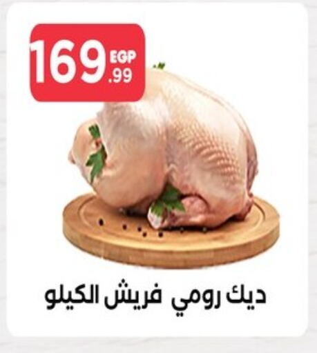 available at مارت فيل in Egypt - القاهرة