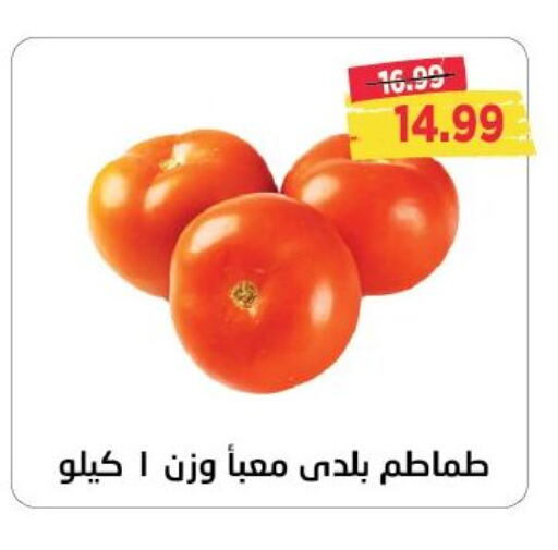 Tomato available at Metro Market  in Egypt - Cairo