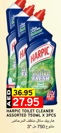 HARPIC Toilet / Drain Cleaner available at Select Market in UAE - Abu Dhabi