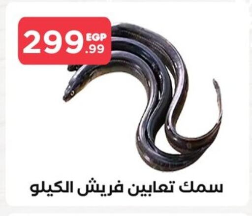 available at مارت فيل in Egypt - القاهرة