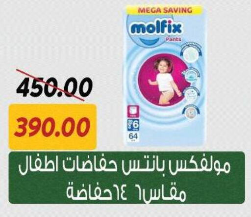 MOLFIX available at Sarai Market  in Egypt - Cairo