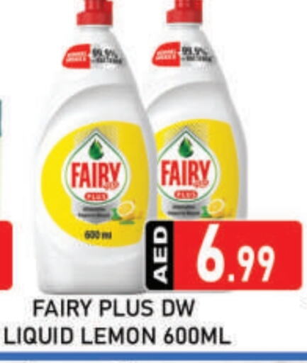 FAIRY available at AL MADINA (Dubai) in UAE - Dubai