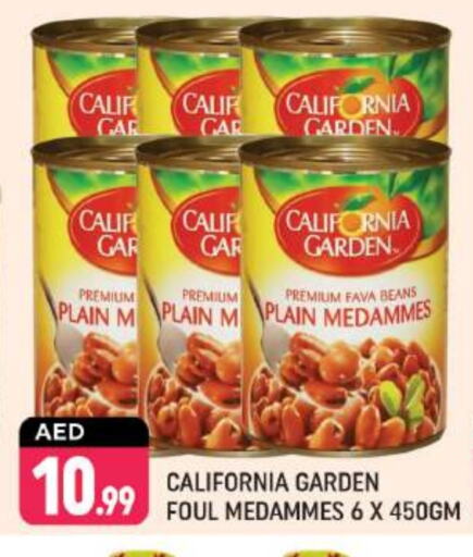 CALIFORNIA GARDEN Fava Beans available at Shaklan  in UAE - Dubai