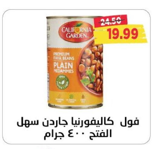 CALIFORNIA GARDEN Fava Beans available at Metro Market  in Egypt - Cairo