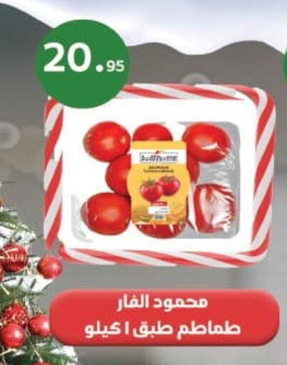 Tomato available at Mahmoud El Far in Egypt - Cairo