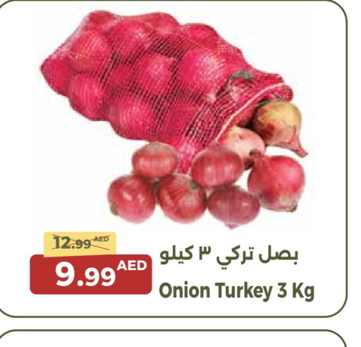 بصل from Turkey available at جمعية الامارات التعاونية in الإمارات العربية المتحدة , الامارات - دبي