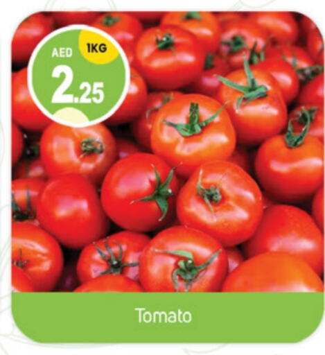 Tomato available at TALAL MARKET in UAE - Sharjah / Ajman