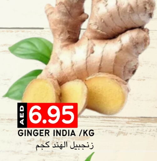 زنجبيل from India available at سيليكت ماركت in الإمارات العربية المتحدة , الامارات - أبو ظبي