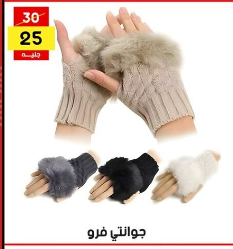 available at جراب الحاوى in Egypt - القاهرة