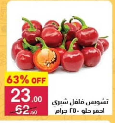 Chilli / Capsicum available at Mahmoud El Far in Egypt - Cairo