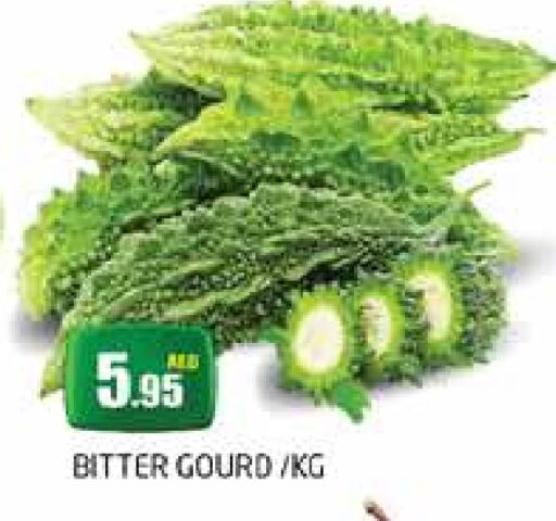 Gourd available at PASONS GROUP in UAE - Dubai