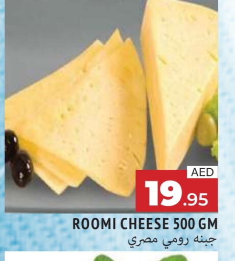 Roumy Cheese available at AL MADINA in UAE - Sharjah / Ajman