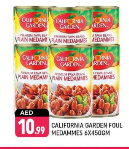 CALIFORNIA GARDEN Fava Beans available at Shaklan  in UAE - Dubai