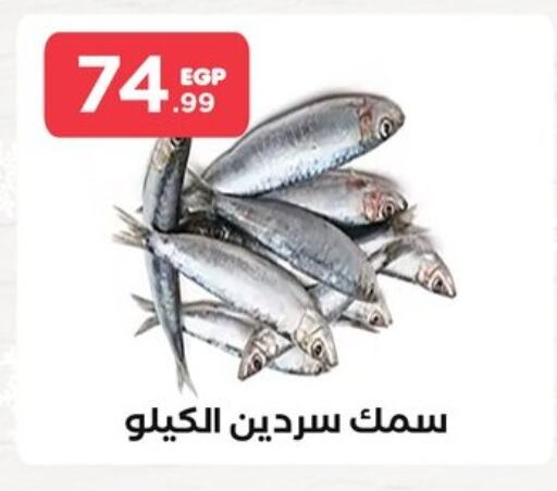 available at مارت فيل in Egypt - القاهرة