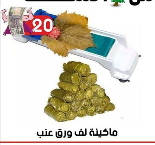 available at جراب الحاوى in Egypt - القاهرة