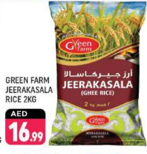 Jeerakasala Rice available at Shaklan  in UAE - Dubai