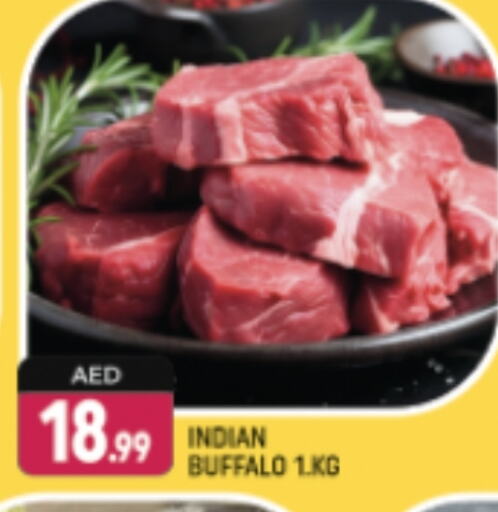 Buffalo available at Shaklan  in UAE - Dubai