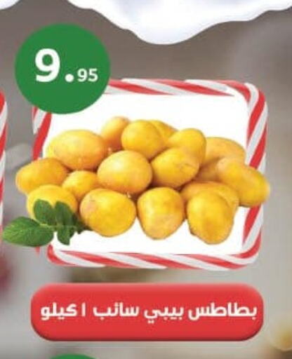 Potato available at Mahmoud El Far in Egypt - Cairo