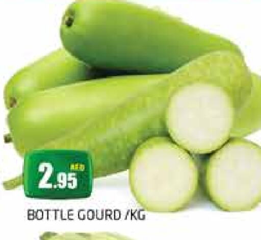 Gourd available at PASONS GROUP in UAE - Dubai