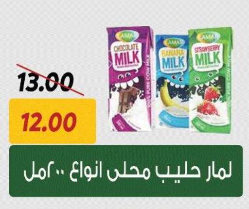 Flavoured Milk available at Sarai Market  in Egypt - Cairo