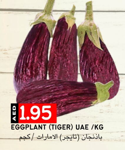 Eggplant available at Select Market in UAE - Abu Dhabi