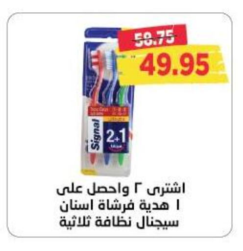 Toothbrush available at Metro Market  in Egypt - Cairo