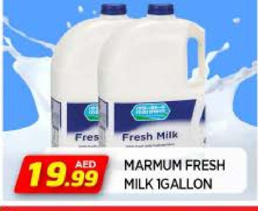 MARMUM Fresh Milk available at AL MADINA in UAE - Sharjah / Ajman