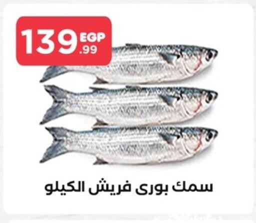 available at مارت فيل in Egypt - القاهرة