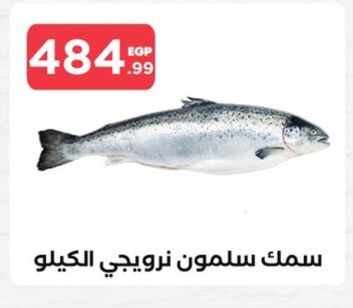 available at مارت فيل in Egypt - القاهرة