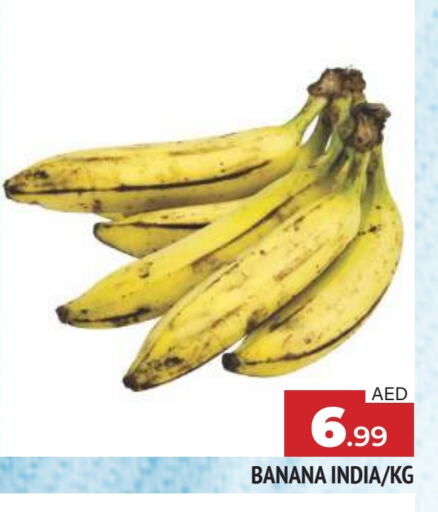 موز from India available at المدينة in الإمارات العربية المتحدة , الامارات - الشارقة / عجمان